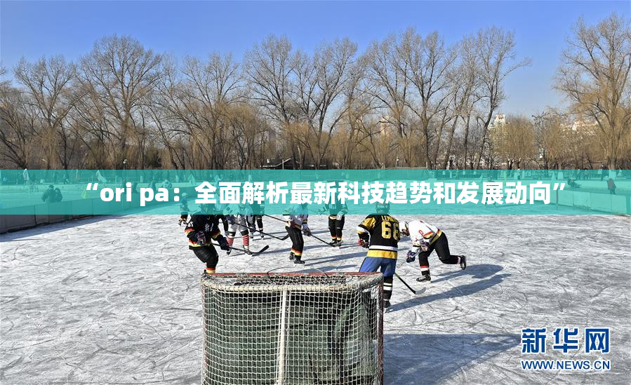“ori pa：全面解析最新科技趋势和发展动向”