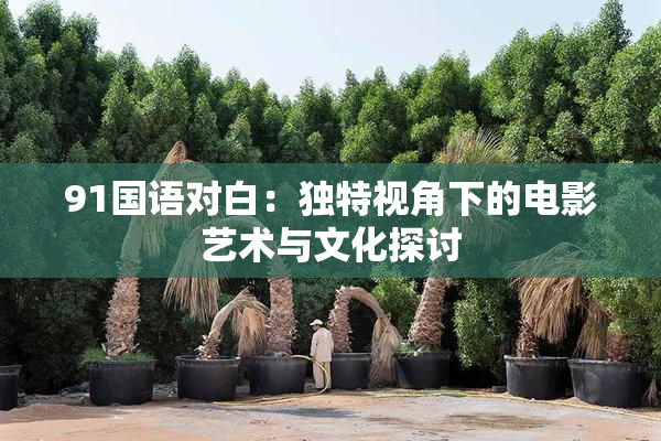 91国语对白：独特视角下的电影艺术与文化探讨