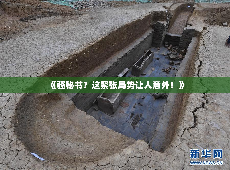 《骚秘书？这紧张局势让人意外！》