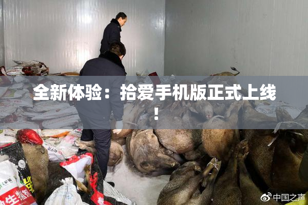 全新体验：拾爱手机版正式上线！