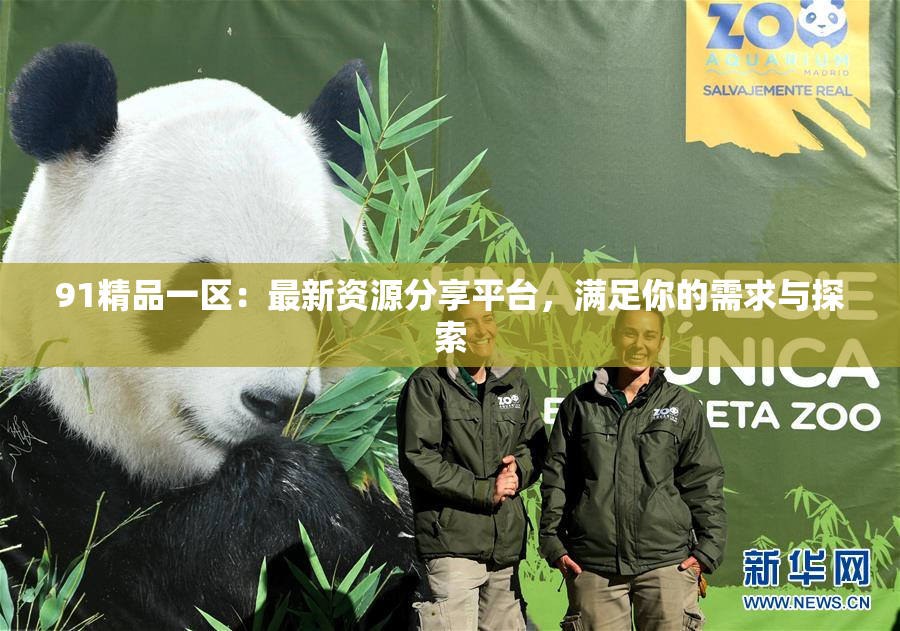 91精品一区：最新资源分享平台，满足你的需求与探索