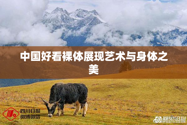 中国好看裸体展现艺术与身体之美