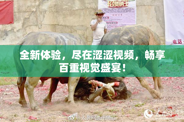 全新体验，尽在涩涩视频，畅享百重视觉盛宴！