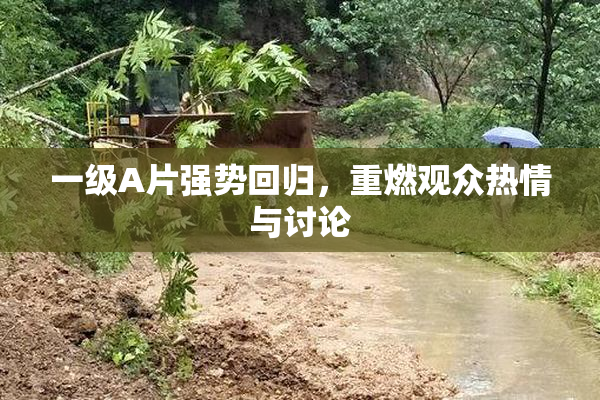 一级A片强势回归，重燃观众热情与讨论