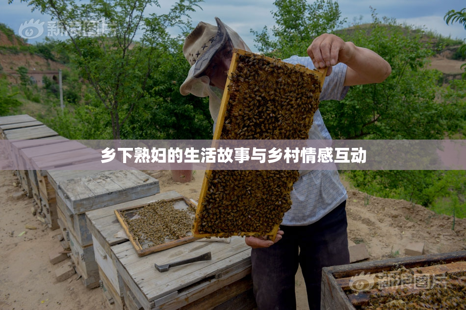乡下熟妇的生活故事与乡村情感互动