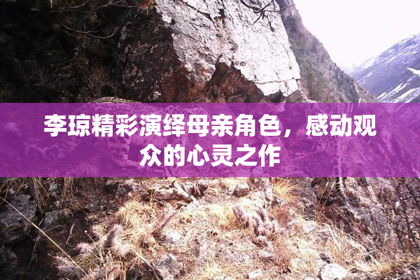 李琼精彩演绎母亲角色，感动观众的心灵之作