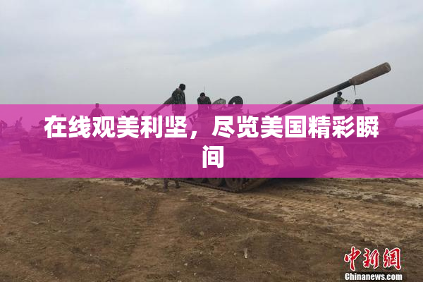 在线观美利坚，尽览美国精彩瞬间