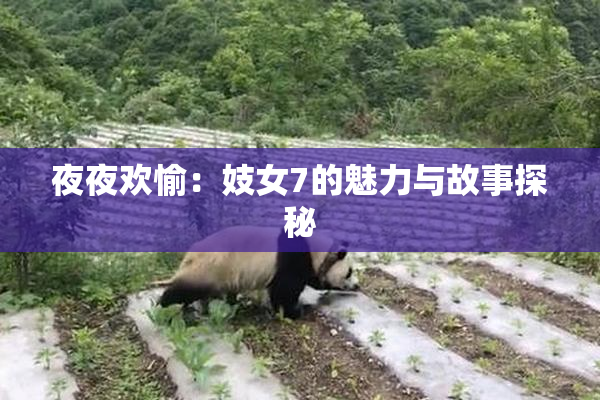 夜夜欢愉：妓女7的魅力与故事探秘