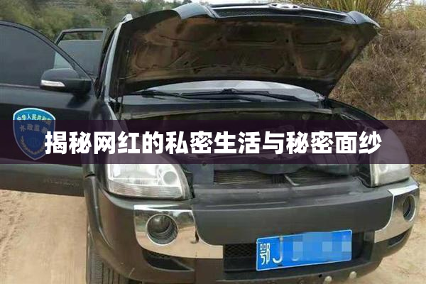 揭秘网红的私密生活与秘密面纱