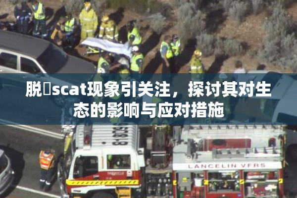 脱糞scat现象引关注，探讨其对生态的影响与应对措施