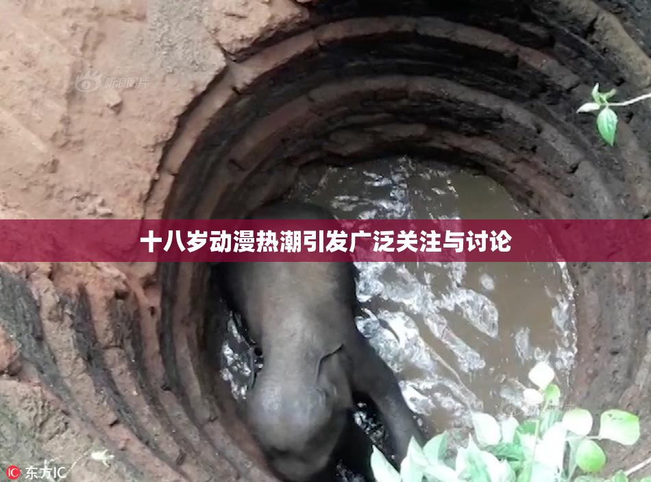 十八岁动漫热潮引发广泛关注与讨论