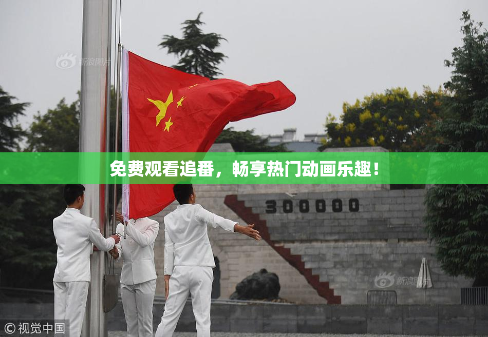 免费观看追番，畅享热门动画乐趣！