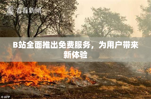 B站全面推出免费服务，为用户带来新体验