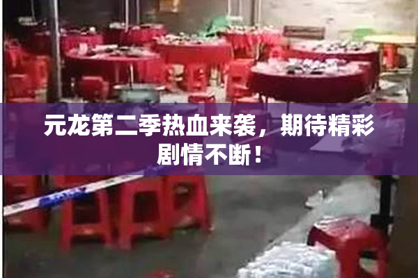 元龙第二季热血来袭，期待精彩剧情不断！