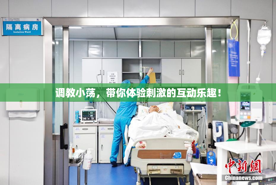 调教小荡，带你体验刺激的互动乐趣！