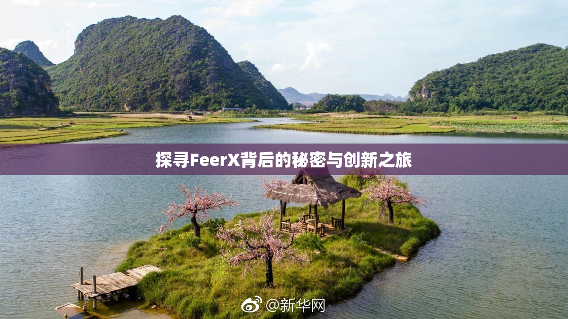 探寻FeerX背后的秘密与创新之旅