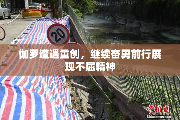 伽罗遭遇重创，继续奋勇前行展现不屈精神