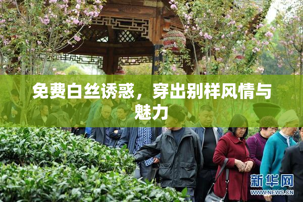 免费白丝诱惑，穿出别样风情与魅力