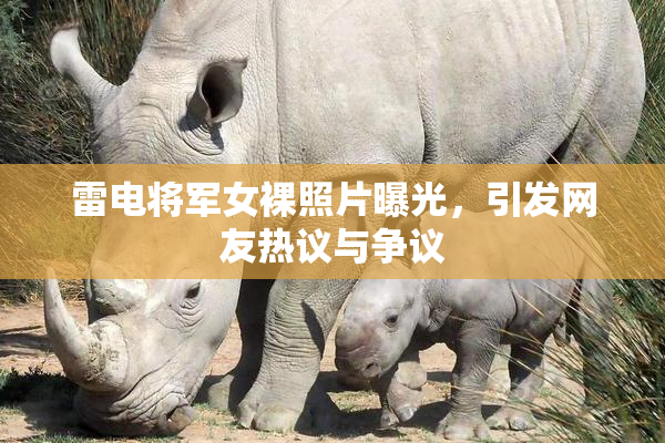 雷电将军女裸照片曝光，引发网友热议与争议