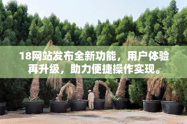 18网站发布全新功能，用户体验再升级，助力便捷操作实现。