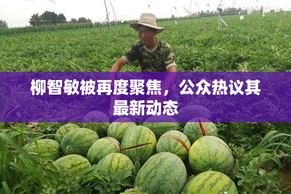 柳智敏被再度聚焦，公众热议其最新动态