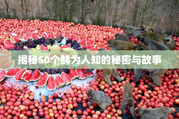 揭秘50个鲜为人知的秘密与故事
