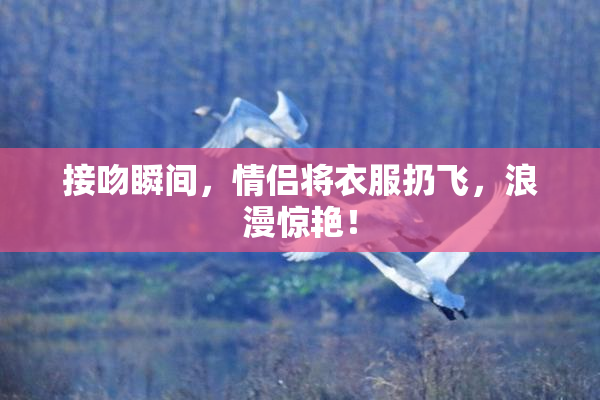 接吻瞬间，情侣将衣服扔飞，浪漫惊艳！