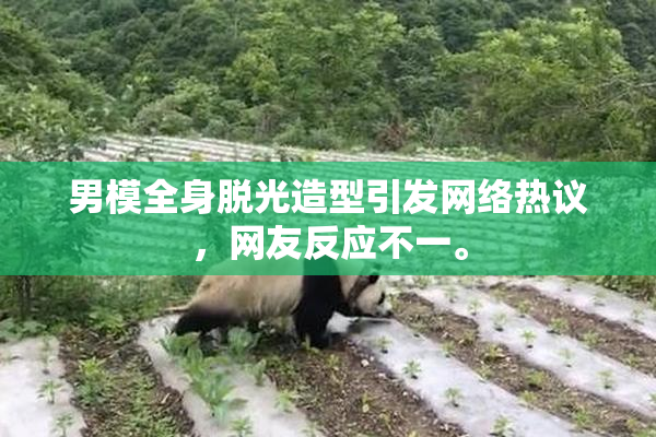 男模全身脱光造型引发网络热议，网友反应不一。
