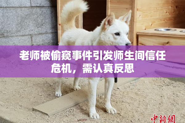 老师被偷窥事件引发师生间信任危机，需认真反思
