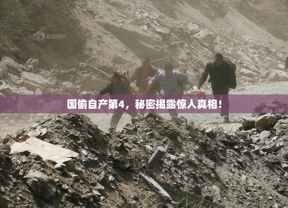 国偷自产第4，秘密揭露惊人真相！