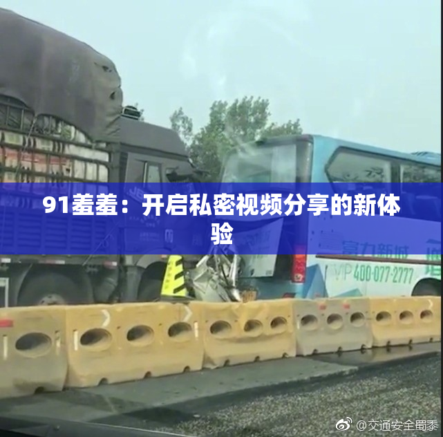 91羞羞：开启私密视频分享的新体验