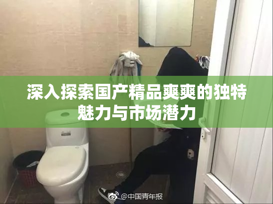 深入探索国产精品爽爽的独特魅力与市场潜力