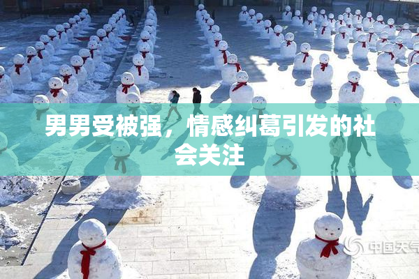 男男受被强，情感纠葛引发的社会关注
