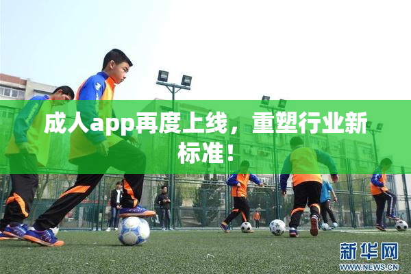 成人app再度上线，重塑行业新标准！