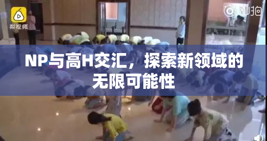 NP与高H交汇，探索新领域的无限可能性