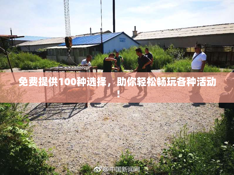 免费提供100种选择，助你轻松畅玩各种活动！