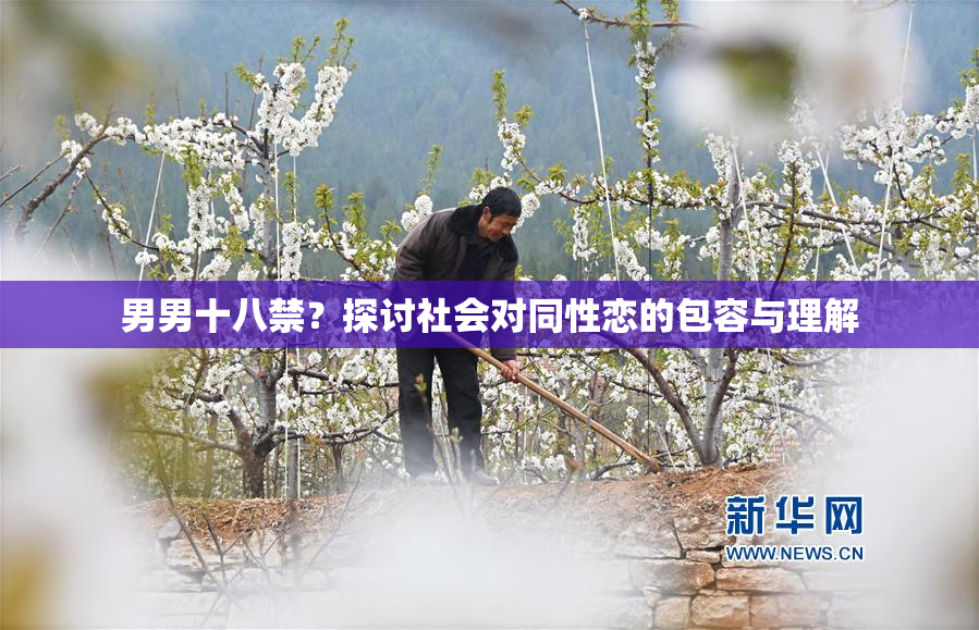 男男十八禁？探讨社会对同性恋的包容与理解