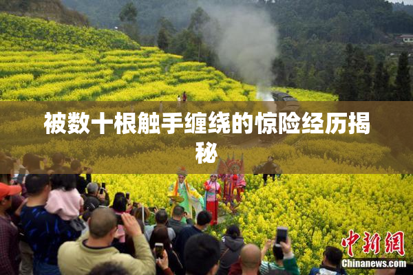被数十根触手缠绕的惊险经历揭秘