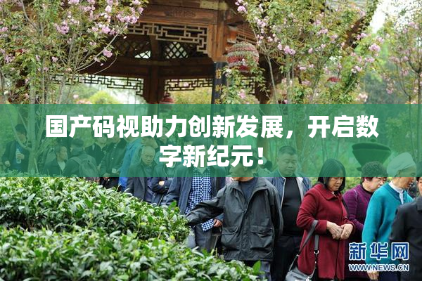 国产码视助力创新发展，开启数字新纪元！