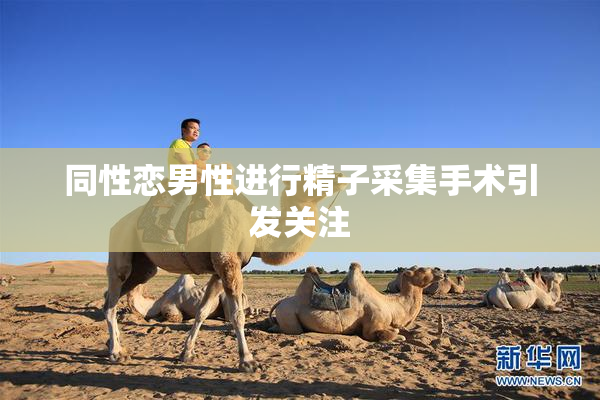 同性恋男性进行精子采集手术引发关注