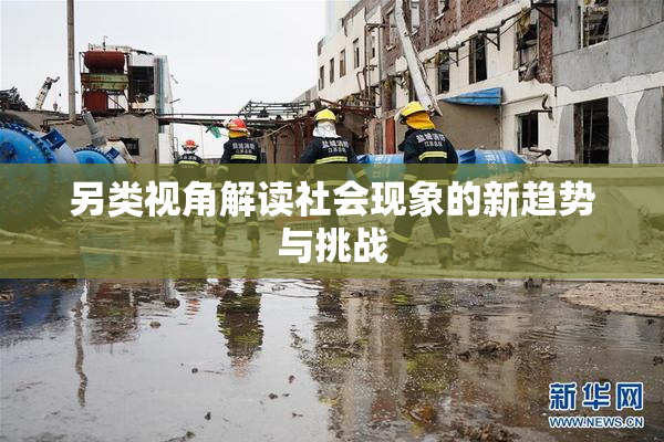 另类视角解读社会现象的新趋势与挑战