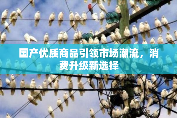 国产优质商品引领市场潮流，消费升级新选择