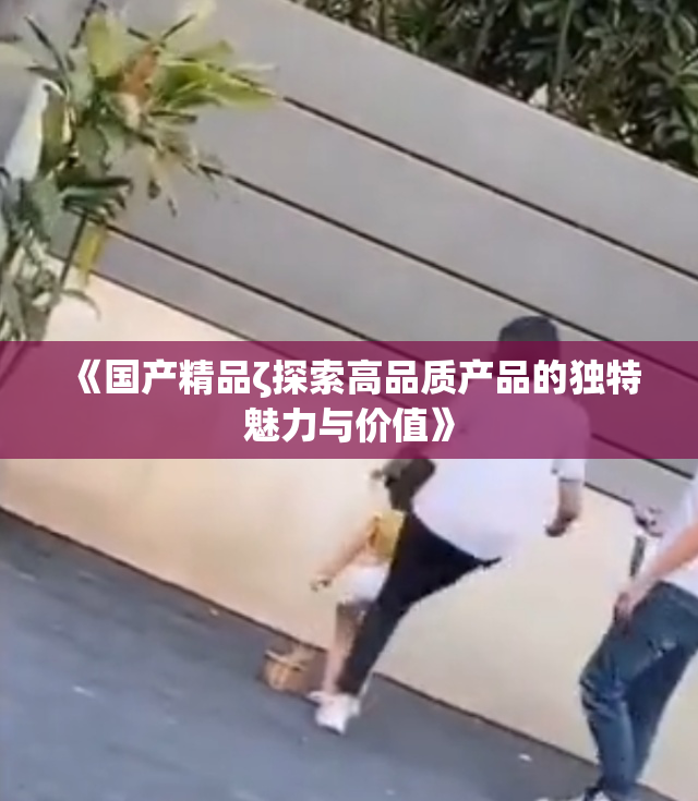 《国产精品ζ探索高品质产品的独特魅力与价值》