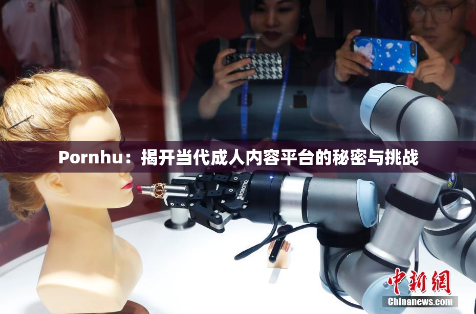 Pornhu：揭开当代成人内容平台的秘密与挑战