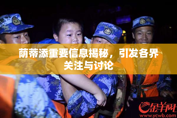 荫蒂添重要信息揭秘，引发各界关注与讨论