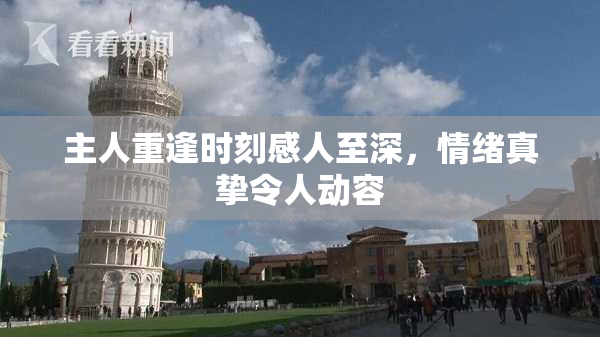 主人重逢时刻感人至深，情绪真挚令人动容