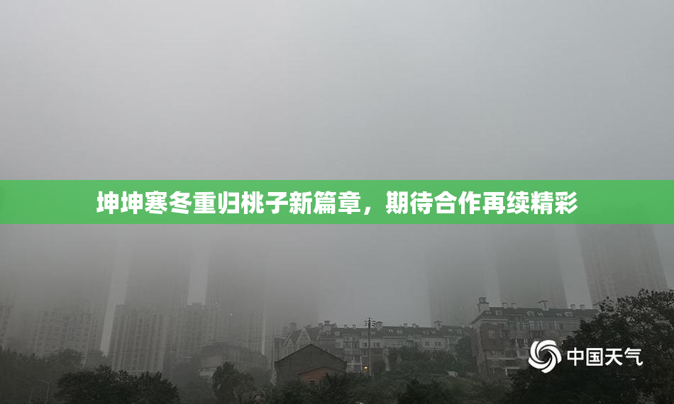坤坤寒冬重归桃子新篇章，期待合作再续精彩