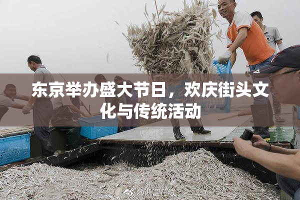 东京举办盛大节日，欢庆街头文化与传统活动