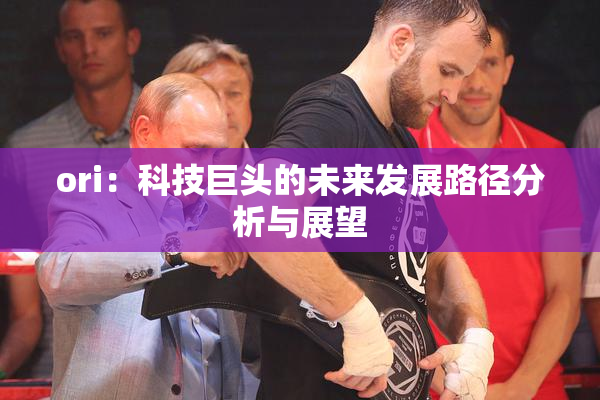 ori：科技巨头的未来发展路径分析与展望