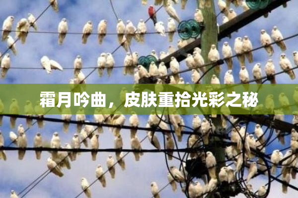 霜月吟曲，皮肤重拾光彩之秘